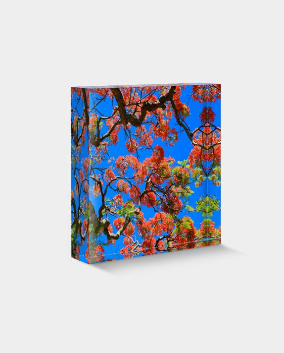 BLOC-DÉCO N°24 - Flamboyant