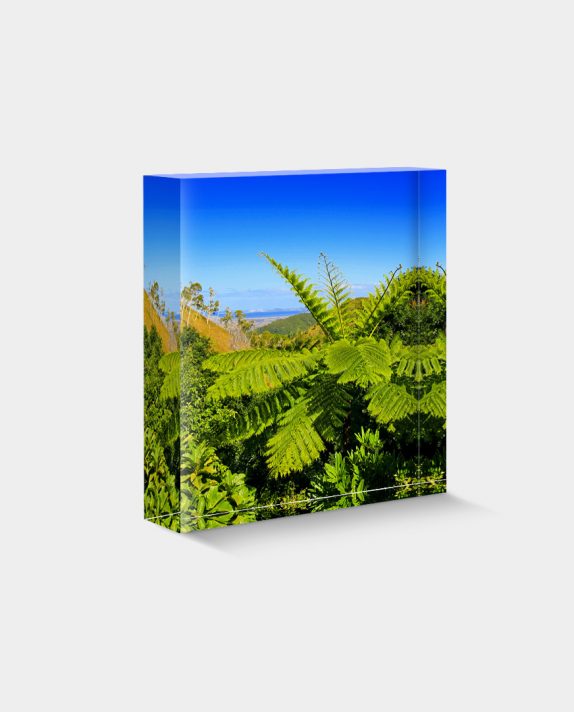 BLOC-DÉCO N°25 - Paysage de la Chaîne