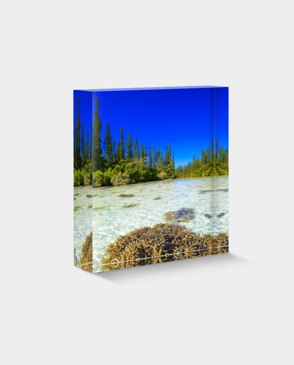 BLOC-DÉCO N°31 - Rivière de corail, Oro, Ile des Pins
