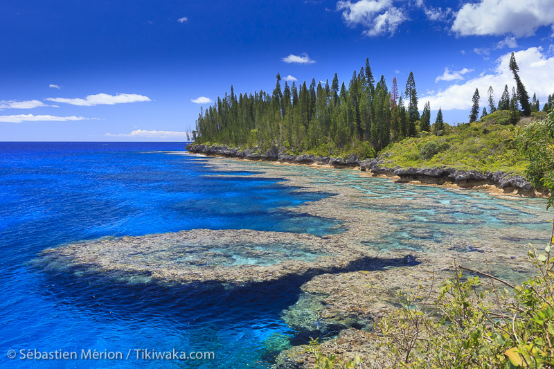 Lagoon in Mare, New Caledonia